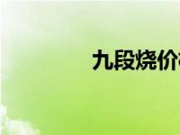 九段烧价格（今日九段烧）