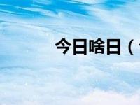 今日啥日（今日圥忈什么意思）