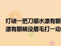 灯谜一把刀顺水漂有眼睛没眉毛打一动物（今日一把刀顺水漂有眼睛没眉毛打一动物名）
