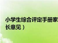 小学生综合评定手册家长意见（今日小学生综合评价手册家长意见）