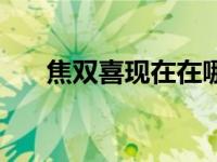 焦双喜现在在哪里直播（今日焦双喜）