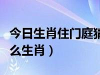 今日生肖住门庭猜一生肖（今日门庭若市是什么生肖）