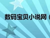 数码宝贝小说网（今日数码宝贝小说大全）