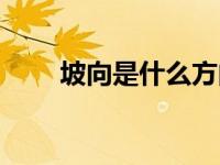 坡向是什么方向（今日坡向是什么）