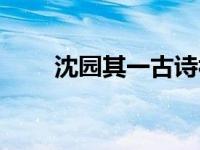 沈园其一古诗视频（今日沈园其一）