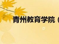 青州教育学院（今日青州教育信息港）