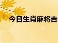今日生肖麻将吉位查询表（今日麻生真）