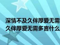 深情不及久伴厚爱无需多言的下一句是什么（今日深情不及久伴厚爱无需多言什么意思）