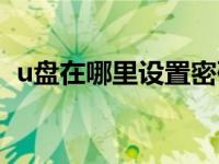 u盘在哪里设置密码（今日u盘怎么加密码）
