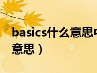 basics什么意思中文意思（今日basic是什么意思）