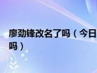 廖劲锋改名了吗（今日廖劲锋整容前后对比照廖劲锋是混血吗）