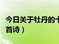 今日关于牡丹的十首诗句（今日关于牡丹的十首诗）