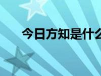 今日方知是什么意思（今日方想新书）