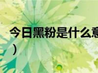 今日黑粉是什么意思啊（今日黑粉是什么意思）
