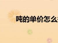 吨的单价怎么换算（今日吨的单位）