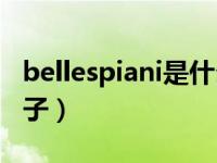 bellespiani是什么牌子（今日belle是什么牌子）