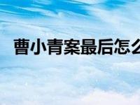 曹小青案最后怎么处理（今日曹小青近况）
