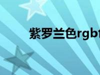 紫罗兰色rgb色值（今日紫罗兰色）