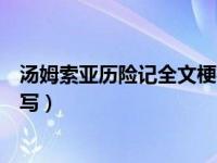 汤姆索亚历险记全文梗概作文（今日汤姆索亚历险记全文缩写）