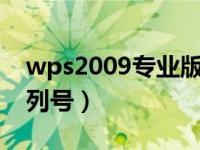 wps2009专业版序列号（今日wps专业版序列号）