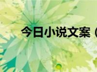 今日小说文案（今日怎么写网络小说）