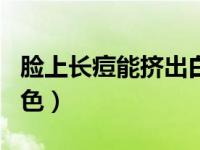 脸上长痘能挤出白色（今日脸上痘痘能挤出白色）