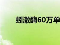 蚓激酶60万单位价格（今日蚓激酶）