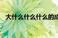 大什么什么什么的成语 常见四字成语盘点