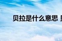 贝拉是什么意思 贝拉的多重含义解析