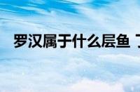 罗汉属于什么层鱼 了解罗汉鱼的水层习性