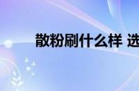 散粉刷什么样 选购指南与使用技巧