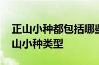 正山小种都包括哪些茶 一篇文章搞懂所有正山小种类型