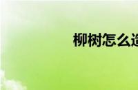 柳树怎么造句短句技巧