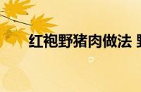 红袍野猪肉做法 野味家常菜麻辣鲜香