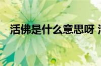 哪些动物没有脚