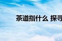 茶道指什么 探寻茶文化的核心内涵