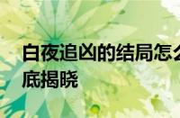 白夜追凶的结局怎么样 潘粤明双胞胎兄弟谜底揭晓