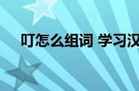 叮怎么组词 学习汉字叮的常见组词方法