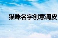 猫咪名字创意调皮 萌趣搞怪让你笑不停