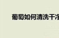 葡萄如何清洗干净 简单三步彻底洗净