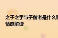 之子之手与子偕老是什么意思 —— 这句古语的真正含义与情感解读