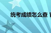 统考成绩怎么查 官方查询渠道全攻略