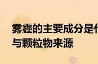 雾霾的主要成分是什么 了解雾霾的化学组成与颗粒物来源