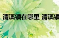 华为P40参数是多少