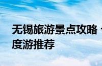 绿菊花的花语和寓意