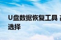 U盘数据恢复工具 高效恢复丢失文件的最佳选择