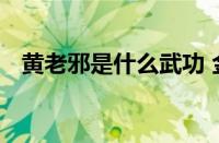 黄老邪是什么武功 金庸武侠中的奇门绝技