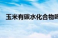 玉米有碳水化合物吗 玉米的营养成分解析